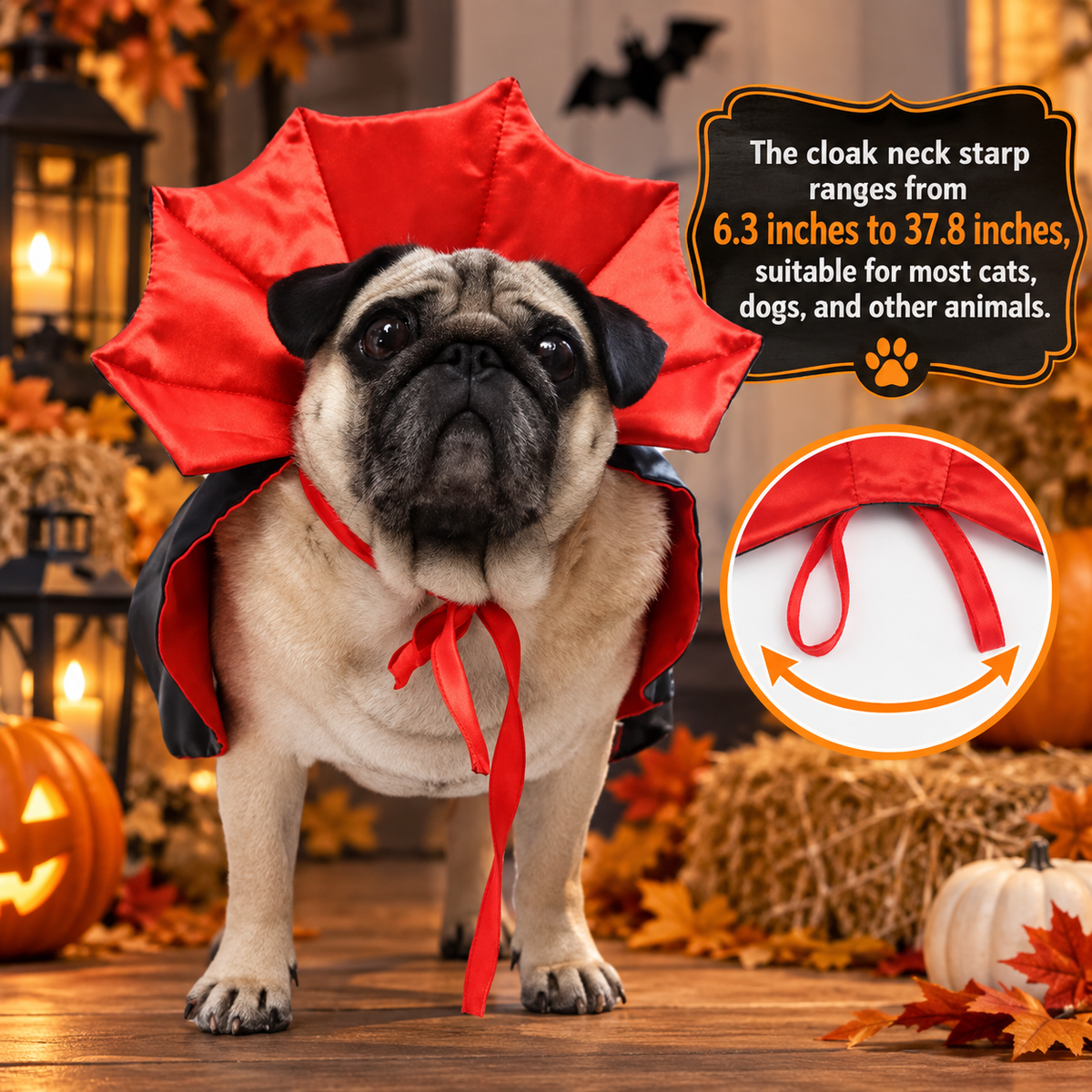 Vampire Baron Pet Costume
