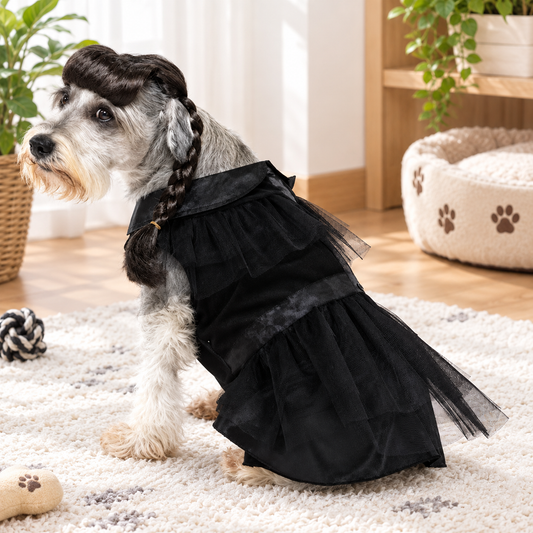 Gothic Halloween Dog Costume Dress