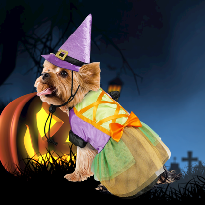 Halloween Witch Pet Costume Dress