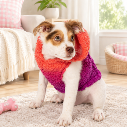 Pink Ombre Sherpa Pet Hoodie